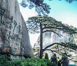 安徽省政府網站集約化平臺